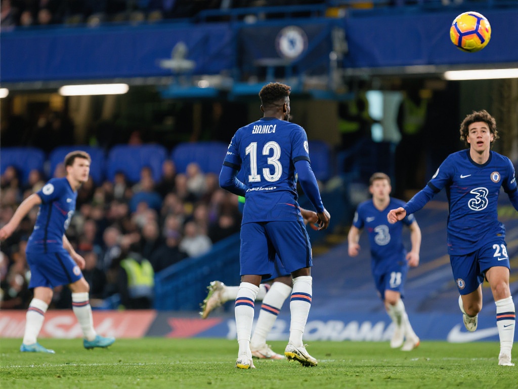 了这种体系 了这种体系