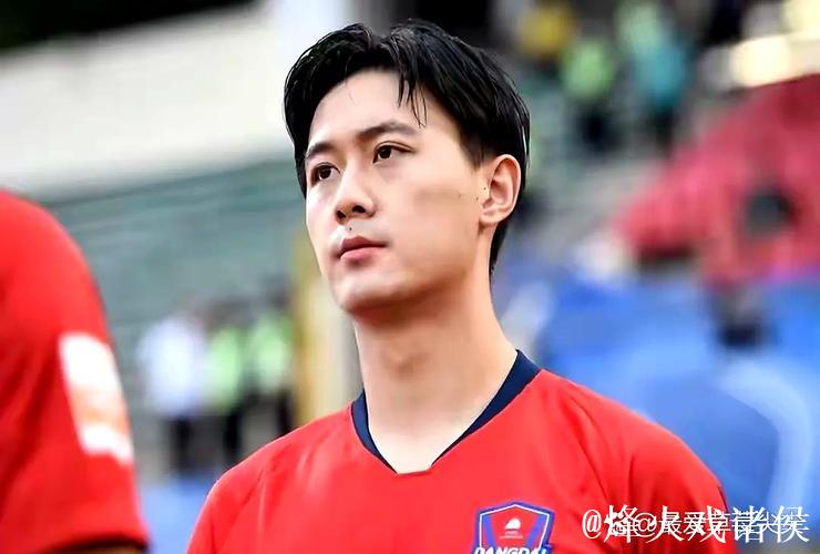 申花情况有些不妙 朱辰杰蒋圣龙两大主力受伤病困扰