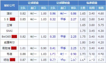 世界杯下注盘口预测:专家独家分析 世界杯下注盘口预测:专家独家分析