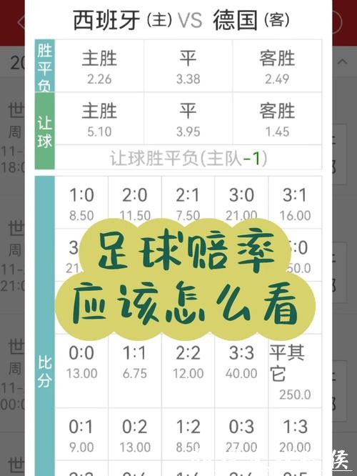 世界杯买球入口：实时赔率信息揭秘